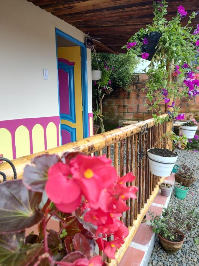 Hotel Hostal Casa Madrigal Filandia Esterno foto